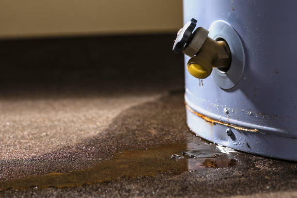 Best Ceiling water damage repair  in Ardmore, TN