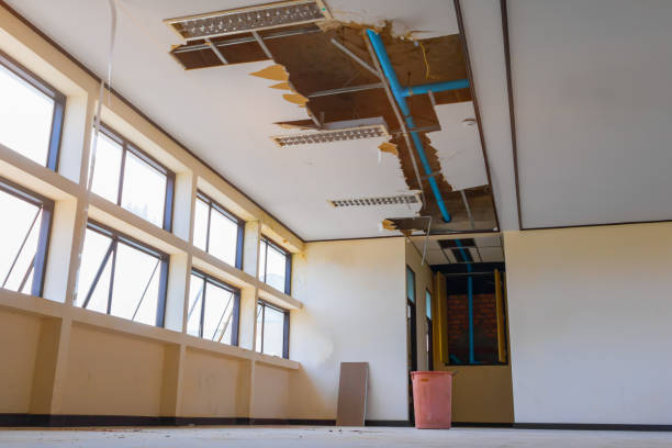 Best Flood restoration services  in Ardmore, TN