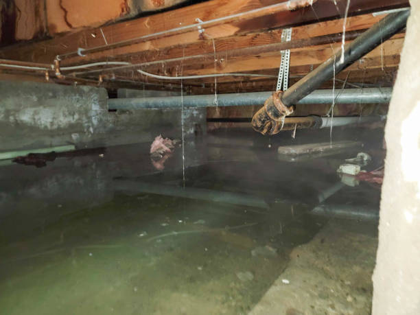 Best Sewage cleanup and water damage restoration  in Ardmore, TN