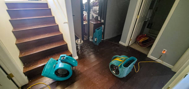 Best Water damage restoration services  in Ardmore, TN