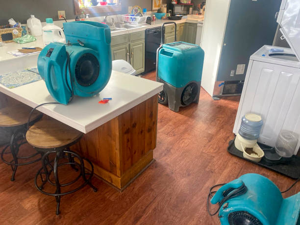 Best Flood damage cleanup  in Ardmore, TN