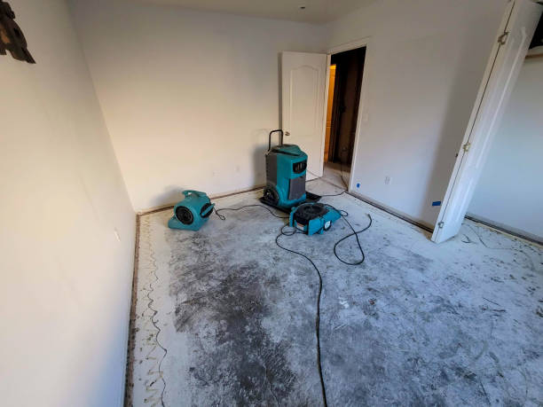 Best Basement water damage restoration  in Ardmore, TN