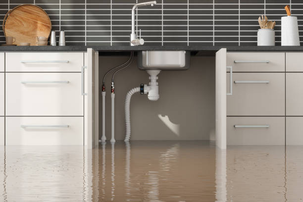 Best Water damage restoration near me  in Ardmore, TN