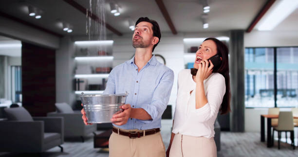 Best Water damage restoration cost  in Ardmore, TN