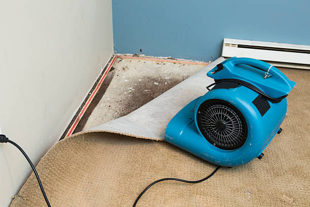 Best Fire Damage Restoration  in Ardmore, TN